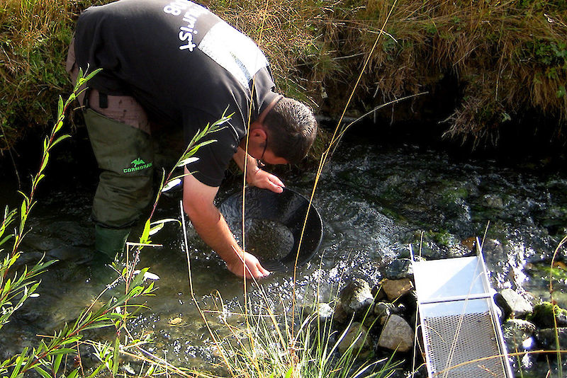 Projektmitarbeiter Danilo Wolf beim Goldwaschen mit Waschrinne und Waschpfanne