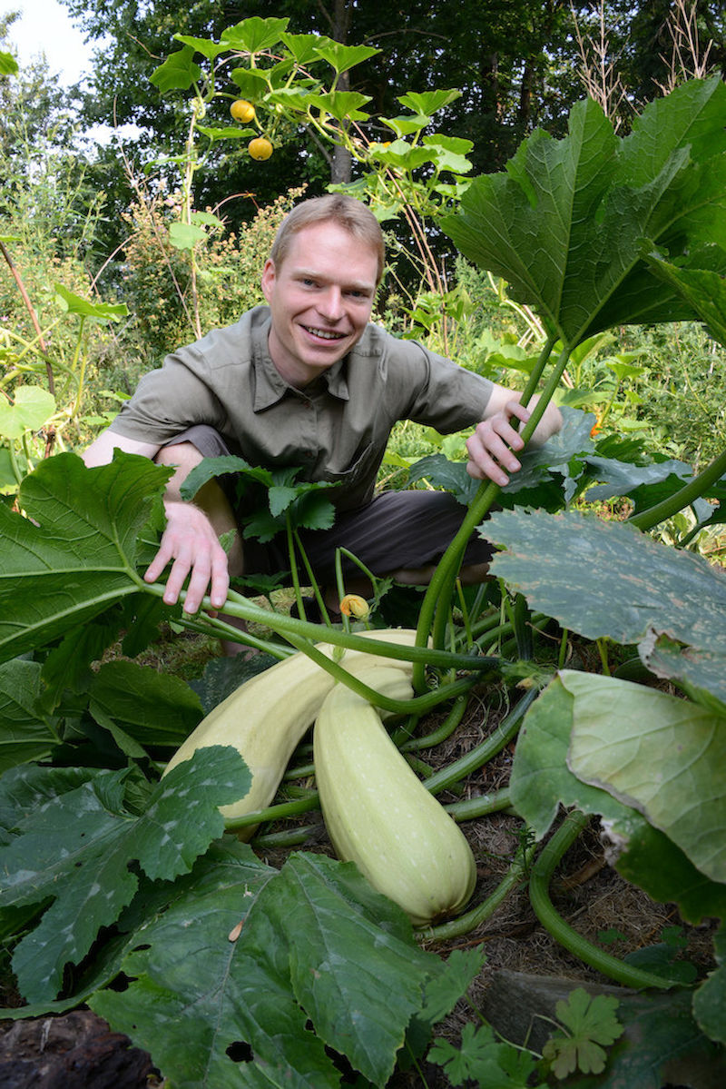 "Terra preta" sorgt für eine reiche Ernte 
