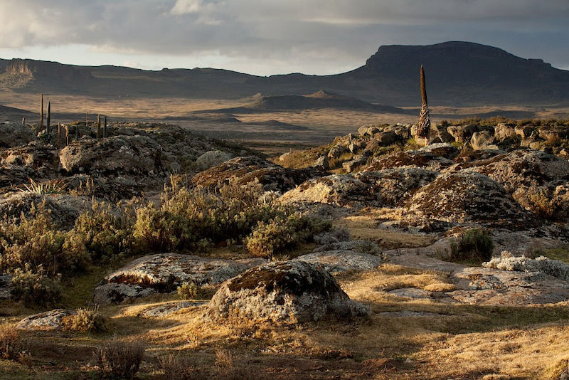 Soil scientists travel to the remote Bale Mountains to conduct research.