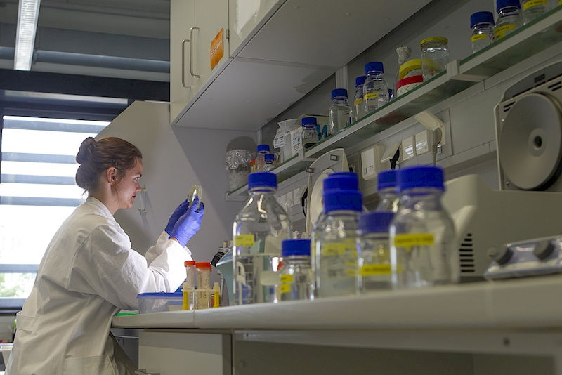 Further basic research takes place in the laboratory at the Protein Centre of the university.