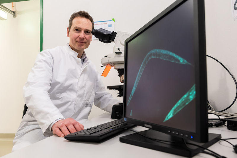 Wim Wätjen nutzt für seine Forschung winzige Fadenwürmer.