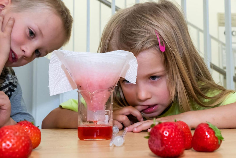 Im Charles-Tanford-Proteinzentrum erlebten auch kleine Besucher wie Helena und Alex, wie DNA aus Erdbeeren isoliert wird.