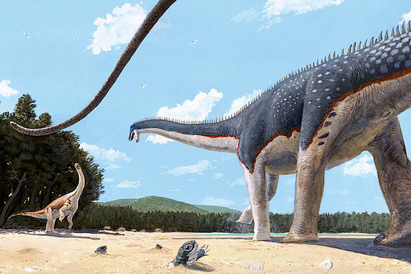 The young Europasaurus at the edge of the forest must run to safety from a diplodocid.