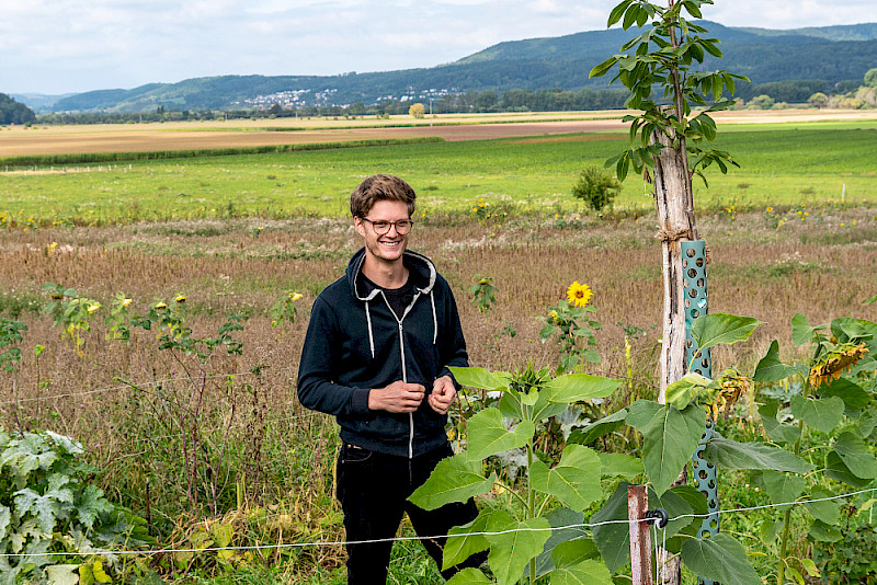 Julius Nennewitz auf dem Feld - vor ihm steht einer der neu gepflanzen Bäume.