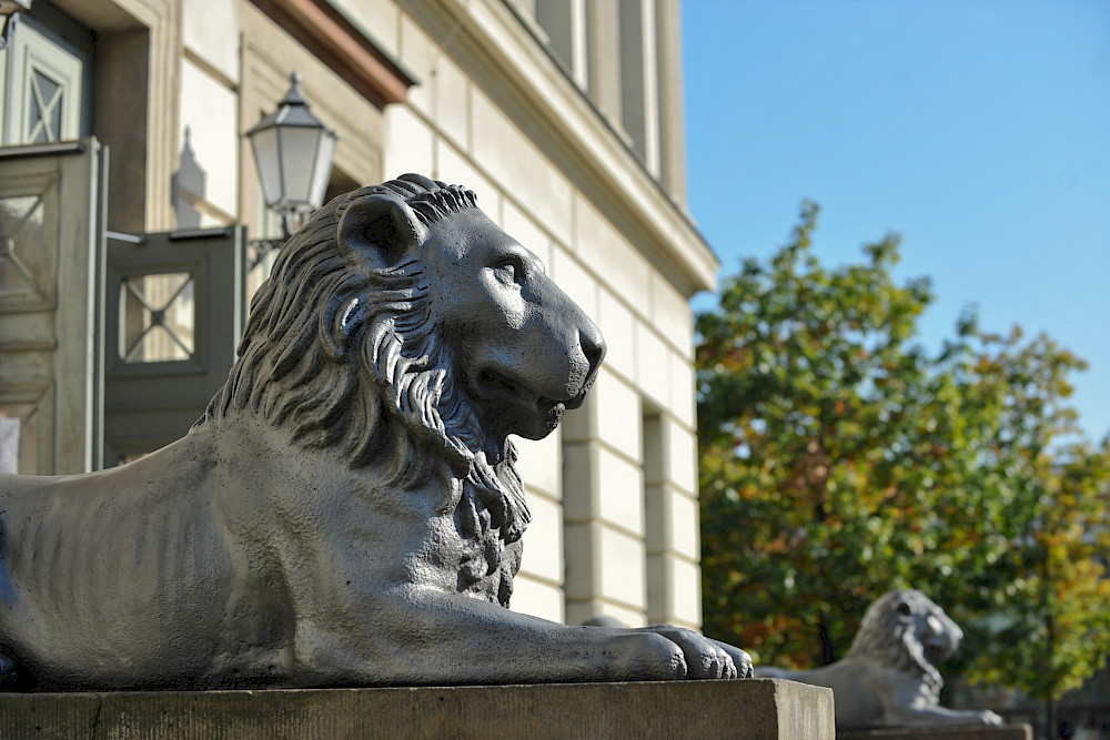 Die Uni-Löwen sind die Symbolfiguren für die MLU.