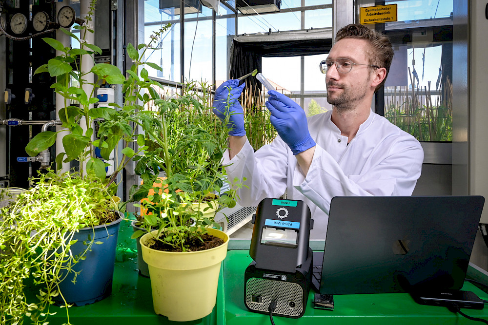 Thomas Schmutzer wird heute auch das Genom von Gewürzpflanzen sequenzieren. Hier bereitet er eine Probe für das dafür genutzte Long-Read-Sequenzierungsgerät "PrometION" (vorn, neben dem Laptop) vor.