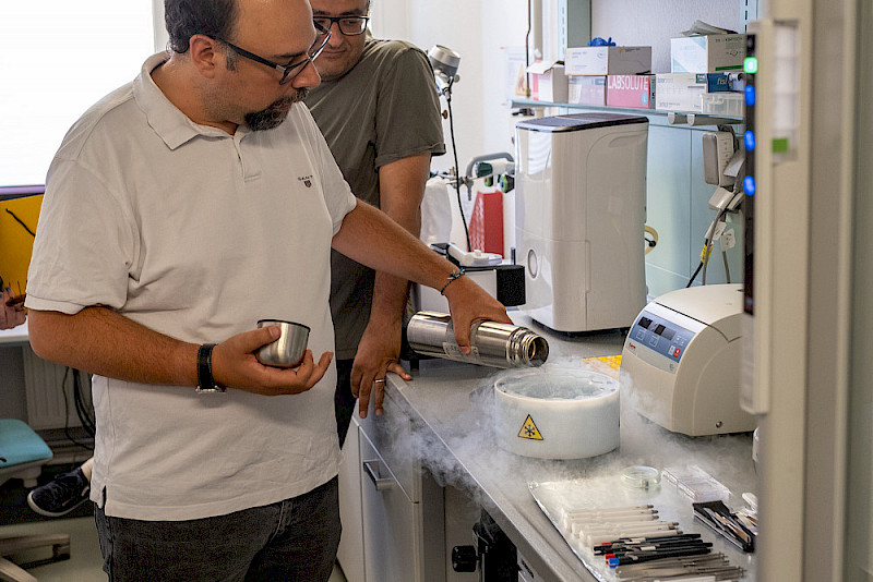 Im Labor für Kryo-Elektronenmikroskopie gießt Panagiotis Kastritis flüssigen Stickstoff auf eine Probe, um diese schnell zu gefrieren.