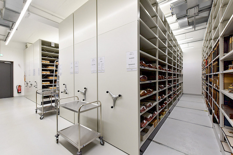 Das Herbarium bewahrt rund 600.000 Pflanzen – jetzt unter optimalen Lagerbedingungen.