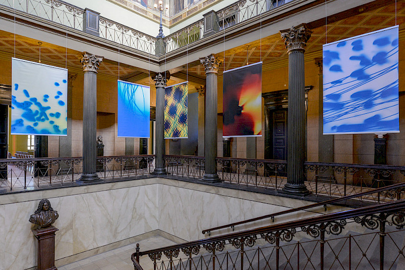 Die Ausstellung "NeurOPTICS" zeigt großformatige Bilder der Künstlerin Marta Djourina im Löwengebäude.