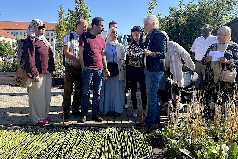 MLU-Wissenschaftlerin Urte Grauwinkel führt die Workshop-Teilnehmenden durch den Schaugarten